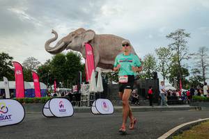 BIB: 
                            <button type="button" onclick="openModal(26528674)" class="btn btn-primary btn-sm float-right btn-popup" data-toggle="modal" data-target=".modal-high-quality">
                        <i class="fas fa-shopping-cart"></i> Add to Cart
                    </button>
                                            <button type="button" onclick="isThisMe(26528674, true)" class="btn btn-success btn-sm float-right btn-popup btn-isme hidden" data-toggle="tooltip" data-placement="bottom" title="นี่คือรูปของคุณใช่ไหม คลิกที่นี่เพื่อเอาเข้าอัลบั้ม">
                        <i class="fas fa-plus"></i> Add to album
                    </button>
                    <button type="button" onclick="isThisMe(26528674, false)" class="btn btn-warning btn-sm float-right btn-popup btn-isnotme hidden">
                        <i class="fas fa-ban"></i> Remove from album
                    </button>